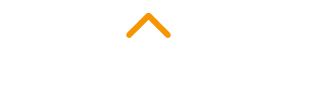 Nesygent